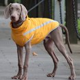 thumbnail image 3 of relayinert Polyester Fait Veste pour Chiens Durable et Anti-Rayures Exquise Artisanat Chiens Réfléchissants Veste Bleu Sûr 2XL, 3 of 6