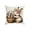 B, variant on EGNMCR Easter Decorations, Easter Cartoons Bunny Patterns Home Decor Sofa Cushion Covers Various Festive Printed Cushion Covers Suitable For Easter Holiday Decoration Linen pillowcase
