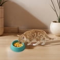 thumbnail image 4 of BKER Candy Round Plastic Dog Bowls Pet Food Container Storage For Dog Cat Easy To Clean, 4 of 4