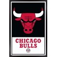 thumbnail image 1 of NBA Chicago Bulls - Logo 21 Wall Poster, 22.375" x 34" Framed, 1 of 4