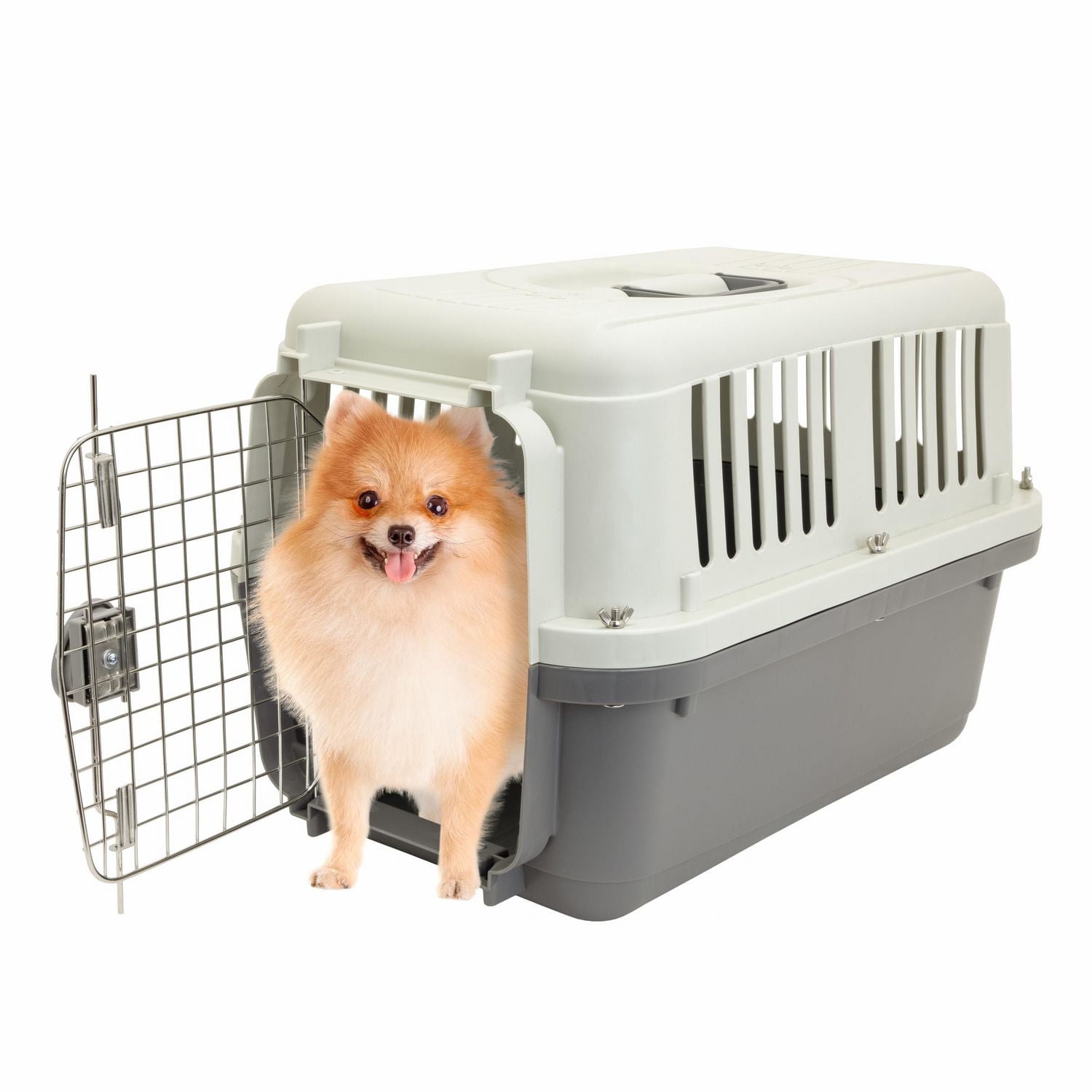 SportPet 24 Inch Durable Plastic Dog Carrier & Crate - Walmart.ca