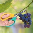 thumbnail image 3 of HURRISE Curved Blade Grape Pruning Shears, Bonsai Shears,Curved Blade Grape Pruning Shears Stainless Steel Bonsai Shears Fruit Branch Picking Scissors, 3 of 9