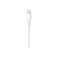 thumbnail image 2 of Apple Lightning to USB Cable (1 m), 2 of 4