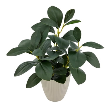 Mainstays 11in Indoor Artificial Plant in Pot, Green Peperomia.