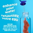thumbnail image 3 of Aromatisant D'Eau Liquide Baies Et Grenade, Bouteille, 3 of 16