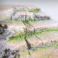 thumbnail image 2 of Penn Plax Shale Step Ledge Aquatic Decor, 2 of 6