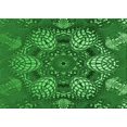 thumbnail image 1 of Ahgly Company Machine Washable Indoor Rectangle Transitional Dark Green Area Rugs, 3' x 5', 1 of 7