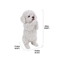 thumbnail image 4 of Chiot Maltais, 4 of 4