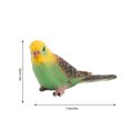 thumbnail image 3 of IROINID Parrot Animal Toys Figurines Home Decorate Preschool Educational, 3 of 3