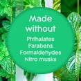 thumbnail image 2 of Glade Branchées® Huile parfumée Recharge, Empower Mint™, 2 of 7