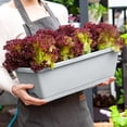 thumbnail image 3 of Vegetable Planting Pot Plastic Flower Pot Balcony Vegetable Planting Trough Halloween Decorations, 3 of 9