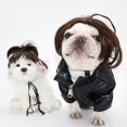 thumbnail image 4 of Animal de Compagnie, Noir et Brun, Taille Libre, Polyester, pour Fête Cosplay du Festival, 4 of 8
