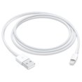 thumbnail image 1 of Apple Lightning to USB Cable (1 m), 1 of 4