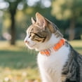 thumbnail image 3 of Reflective Nylon Dog Collar Heavy Duty Pet Collar with Metal Quick Release Buckle Durable and Adjustable for Medium to Large Dogs, 3 of 4