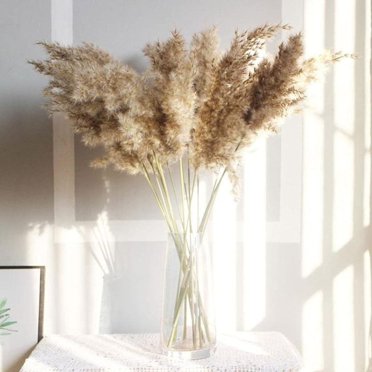 Stunning Tall Pampas Grass, Perfect For Boho Decor, Natural Home Decor Complement With Dried Flowers Bouquet, Easy Low Maintenance Ensures Timeless Beauty, Wedding Floral Arrangements (20PCS)