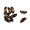 thumbnail image 3 of Esquirla 1:6 Scale 10pcs Mini Door Knobs Handles Dollhouse Miniature DIY Accessory Bronze, 3 of 5