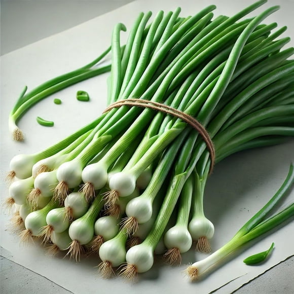 GSDWIUEW Graines d'Oignon Vert Gallois – Variété d'Oignon/ciboulette en Bouquets – Rustique, à Croissance Rapide et Productive – Idéal pour Jardins Domestiques, Contenants et Récolte Continue