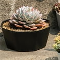 thumbnail image 3 of Succulent Planters Resin Plastic Crafts Personality Decorations Flower Pot Office Balcony Style Decorative Plants Container Office Yards Black, 3 of 8