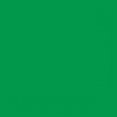 thumbnail image 4 of Hanes Kids Authentic TAGLESS Cotton T-Shirt, S, Shamrock Green, 4 of 4