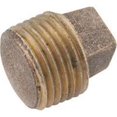 thumbnail image 1 of Pipe Plug, Solid Barstock, Lead Free Brass. 1/4 In. - 738114-04, 1 of 1
