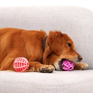 SIfdSeng Pet Toys Dog Bouncy Ball Toys Tpr Teeth Leakage Ball Dog Toys Animal Toys Puppy Teething Toys Freezable Puppy Toys Small Dogs