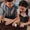 View all media