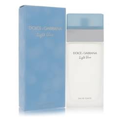 D&G Light Blue L