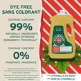 thumbnail image 2 of Murphy Oil Soap Concentrated Formula, Wood Cleaner, Citronella Oil Scent, 2.66 L Bottle, 2 of 9