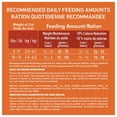 thumbnail image 3 of Purina ONE +Plus High Protein Chicken Formula, Dry Cat Food 1.8 kg, 3 of 9