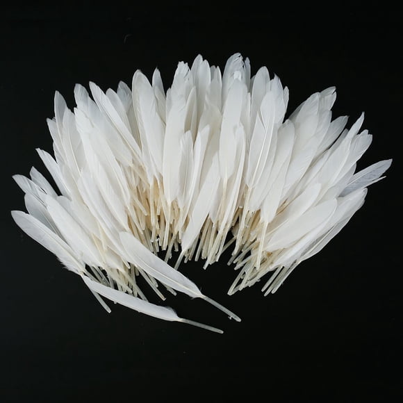 DEBGFS 250pcs Feathers for Crafts Feathers Decorations Natural Goose Feathers for DIY Dream Catchers Natural Crafts Feathers fo