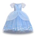 thumbnail image 1 of Robe Princesse à Manches Bouffantes pour Filles, Robe Tutu en Tulle Cendrillon de Fête Chic, 1 of 3
