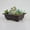 Brun, variante sur Pot de Fleurs Antique Imitation Sable Violet Brun Foncé, Convient aux Succulentes, Petit Pot, Petit Bonsaï, Présentoir de Couronne pour Maison et Jardin