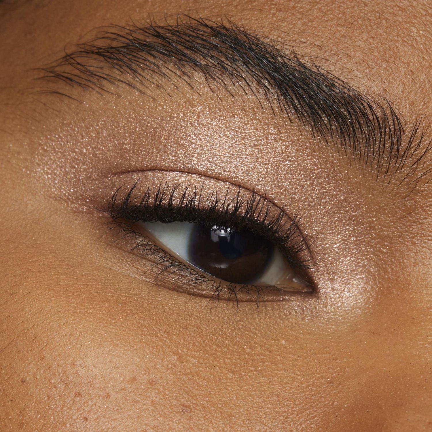 L'Oreal Paris Paradise Le Shadow Stick, Fard à Paupières, 1.4g