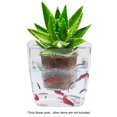 thumbnail image 1 of MesaSe Pot de Fleurs 2 en 1 Transparent à Absorption d'Eau Automatique Aquarium Hydroponique, 1 of 10