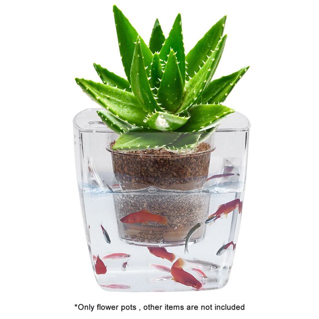 MesaSe Pot de Fleurs 2 en 1 Transparent à Absorption d'Eau Automatique Aquarium Hydroponique