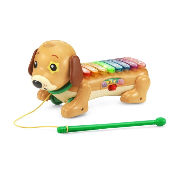 VTech Elton, mon rouli xylophone - Jouet musical pour bébé - Version anglaise