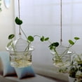 thumbnail image 5 of Hanging Glass Flowers Plant Vase Bottle Terrarium Container Home Garden Decors, 5 of 5