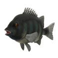thumbnail image 2 of HILABEE Creature Animal Figures Waterproof Plastic Marine Figurine Models Stone Snapper, 2 of 9