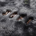 thumbnail image 3 of SUSUZI 5' x 7' Shaggy Area Rug, 2 Inch Thick Fluffy Plush Carpet with Non-Slip PVC Back, Soft Polypropylene Floor Rug for Bedroom Living Room Kids Room Home Décor, 3 of 8