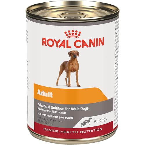 Royal Canin Nutrition Santé Canine Adulte en Gel Nourriture pour Chien en Conserve (Caisse de 12/1), 13,5 oz