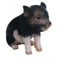 thumbnail image 1 of Hi-Line Gift Ltd Cochon Bébé Assis Brun Foncé, 6 Pouces, 1 of 4
