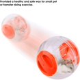 thumbnail image 2 of Hamster Exercise Ball Mini Fashion Plastic Running Toy Small Pet Jogging Training Activity Ball Toy for Hamster Gerbil, 2 of 5