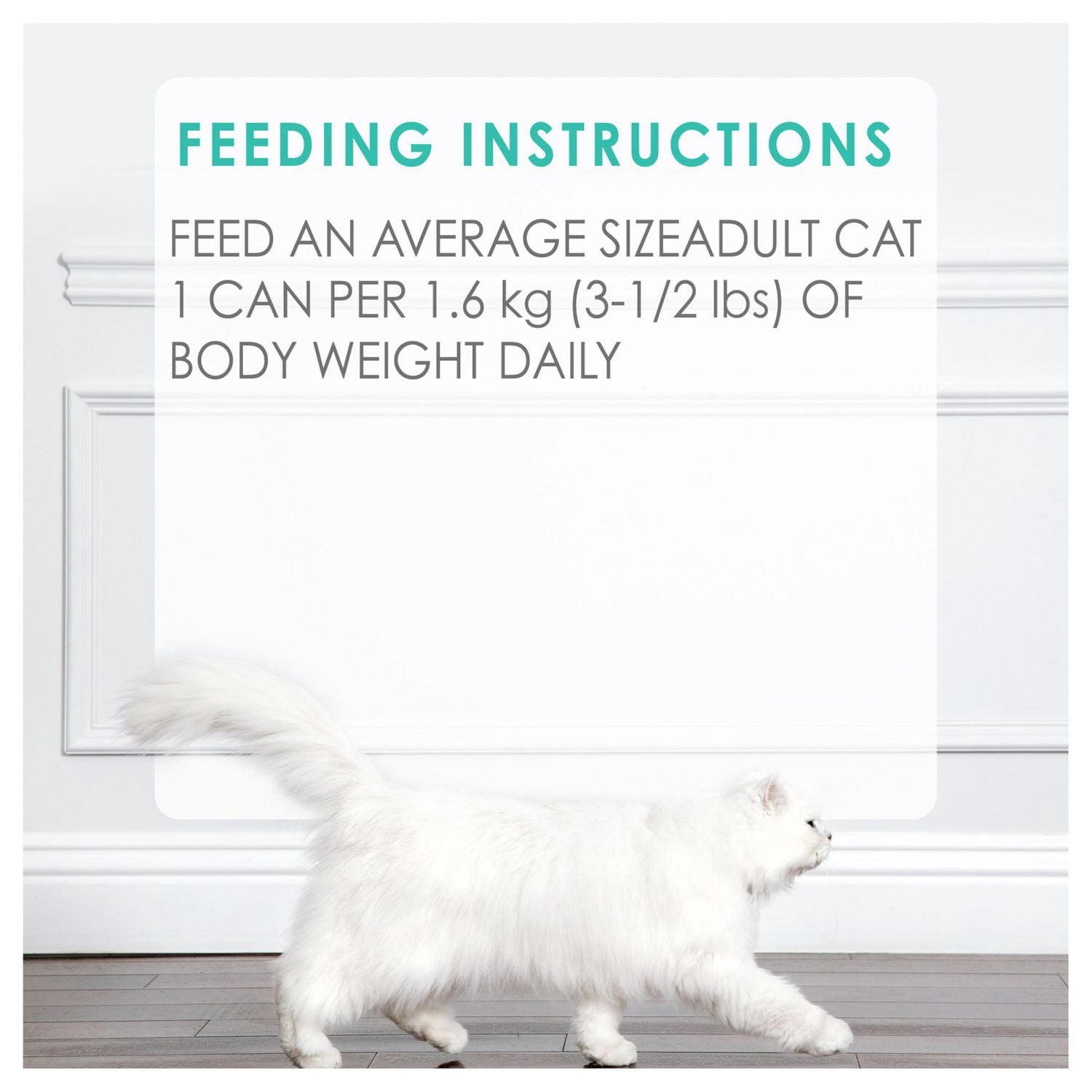 Purina Fancy Feast Pate Festin a Saveur de Boeuf Nourriture pour Chats 85g