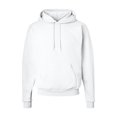 thumbnail image 1 of Fleece Ecosmart Hooded Sweatshirt, 1 of 1