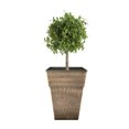 thumbnail image 4 of The HC Companies Avio Pot de Plante Carré de 13 Pouces (Lot de 2), 4 of 5