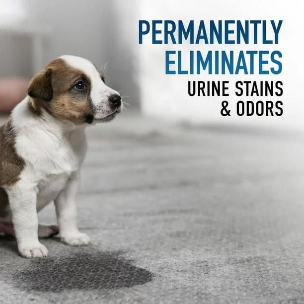 HOOVER Oxy Pet Urine & Stain Eliminator Carpet Cleaning Formula UDC