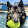 thumbnail image 3 of Squeak & Glow Football Dog Toy, 3 of 4