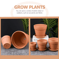 thumbnail image 2 of EASTIN 20 Pcs Petits Pots de Fleurs Cactus Pots de Pépinière Petits Pots Cactus, 2 of 6