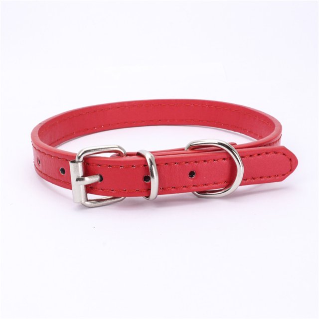 Collier Souple pour Chien pour Petit Chiot Chaton Chats
