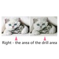 thumbnail image 4 of Graflsoa « Kit de Peinture Diamant Chat Bricolage - Art sur Toile 40x30 cm avec Strass et Outils Inclus », 4 of 7